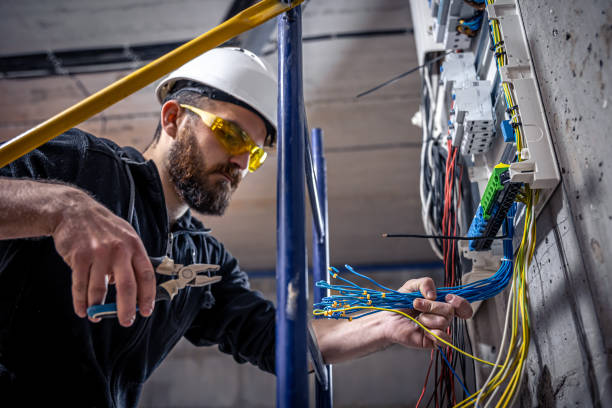 Best Best Electricians Near Me  in Vla Grove, IL