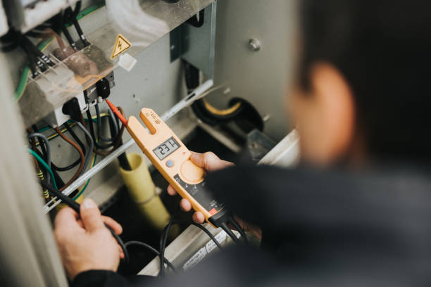 Best Generator Installation Services  in Vla Grove, IL