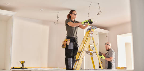 Best Electrical Upgrades for Homes  in Vla Grove, IL