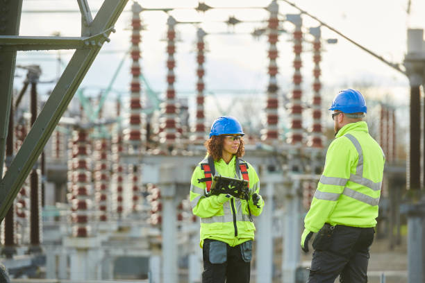 Best Affordable Electrical Installation  in Vla Grove, IL