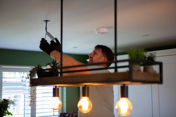 Best 24-Hour Electrician  in Vla Grove, IL