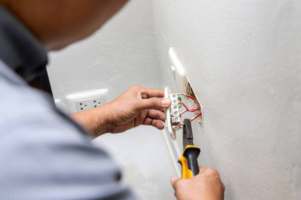 Best Ceiling Fan Installation Electrician  in Vla Grove, IL