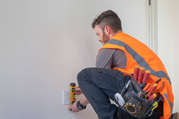 Best Electrical Rewiring Services  in Vla Grove, IL