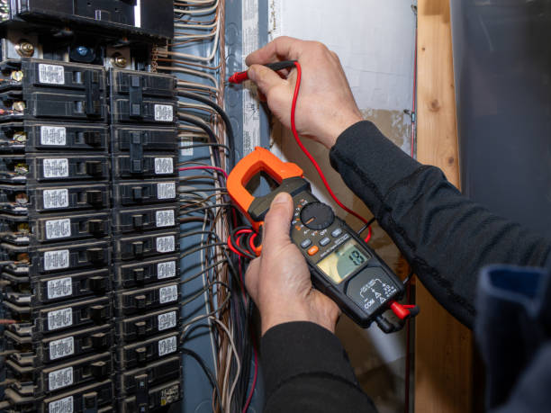 Best Electrical Troubleshooting Services  in Vla Grove, IL