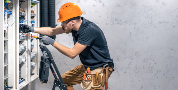 Best Electrical System Inspection  in Vla Grove, IL